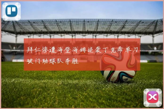 拜仁惨遭海登海姆逆袭丁克希单刀破门助球队夺胜