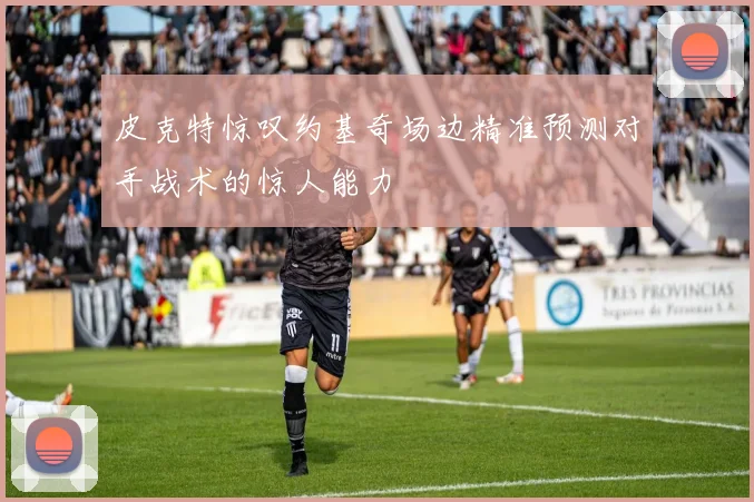 皮克特惊叹约基奇场边精准预测对手战术的惊人能力